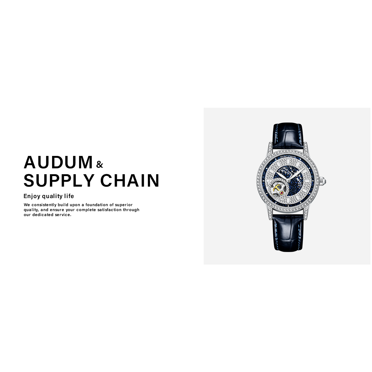 【官方正品】Mclaro无限宇宙-黑天鹅系列/女士高端潮流机械腕表-zyq