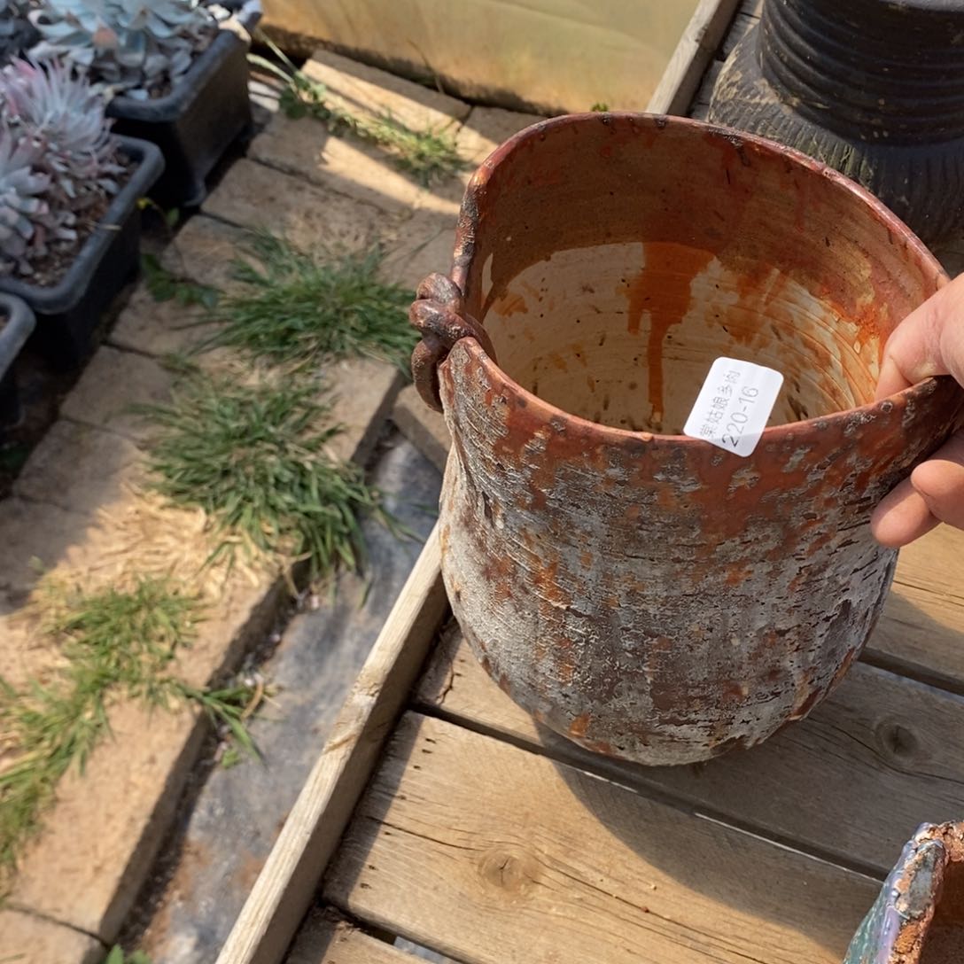 红陶喵*二16号多肉盆一个呀