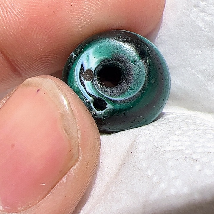 香榧木在家了一个小时