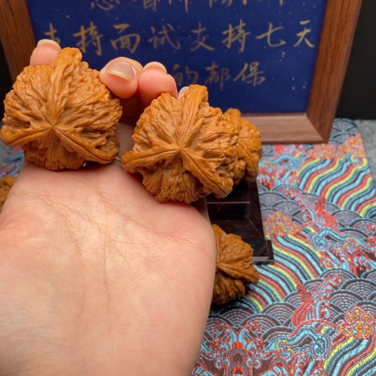 【闪购商品】C****?白狮