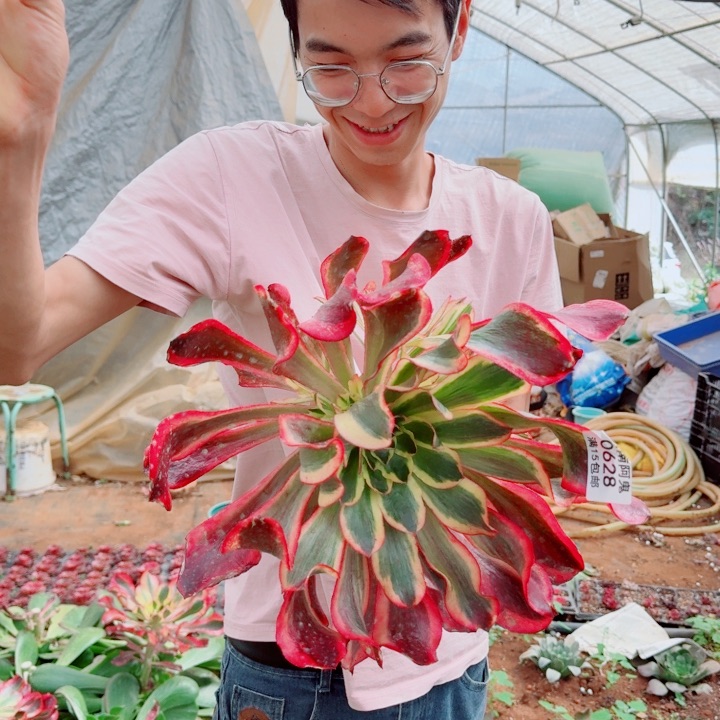 0628号魅影啊啊啊啊