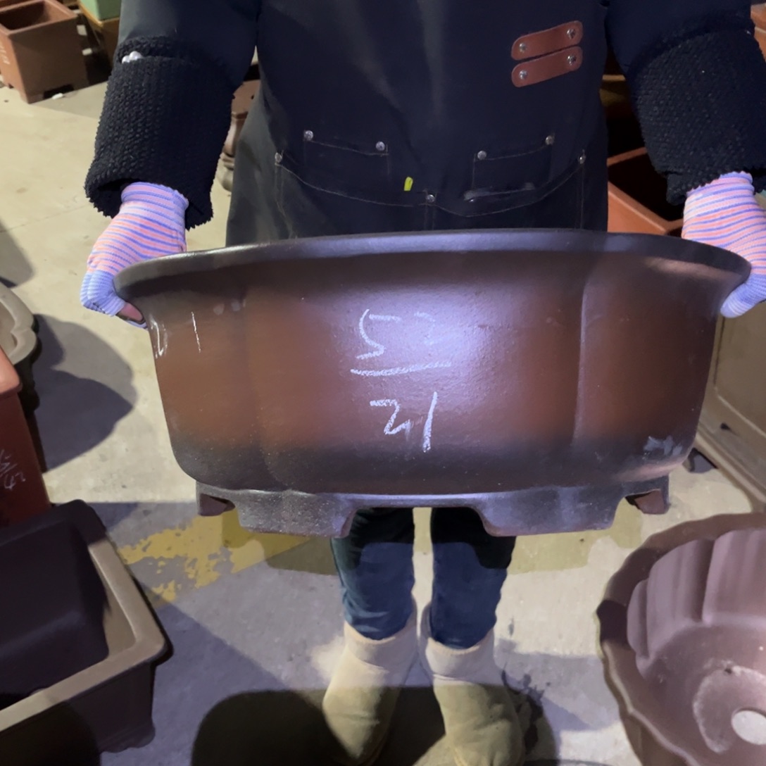 紫砂花盆盆景艺术