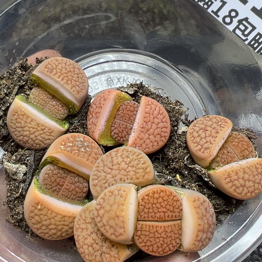 【闪购商品】321……