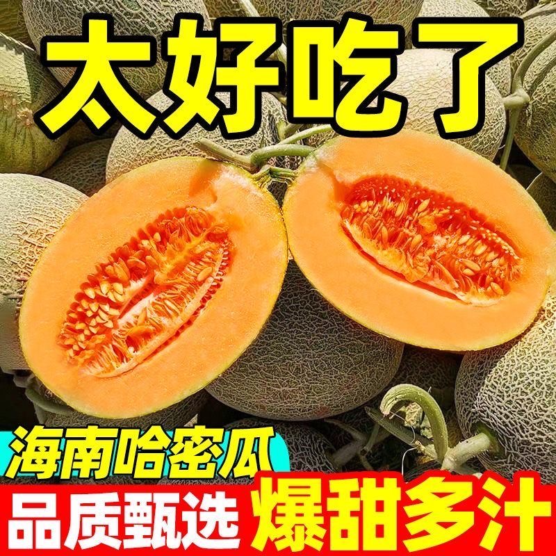  正宗海南哈密瓜新鲜一箱当季9斤水果整箱现摘网纹瓜