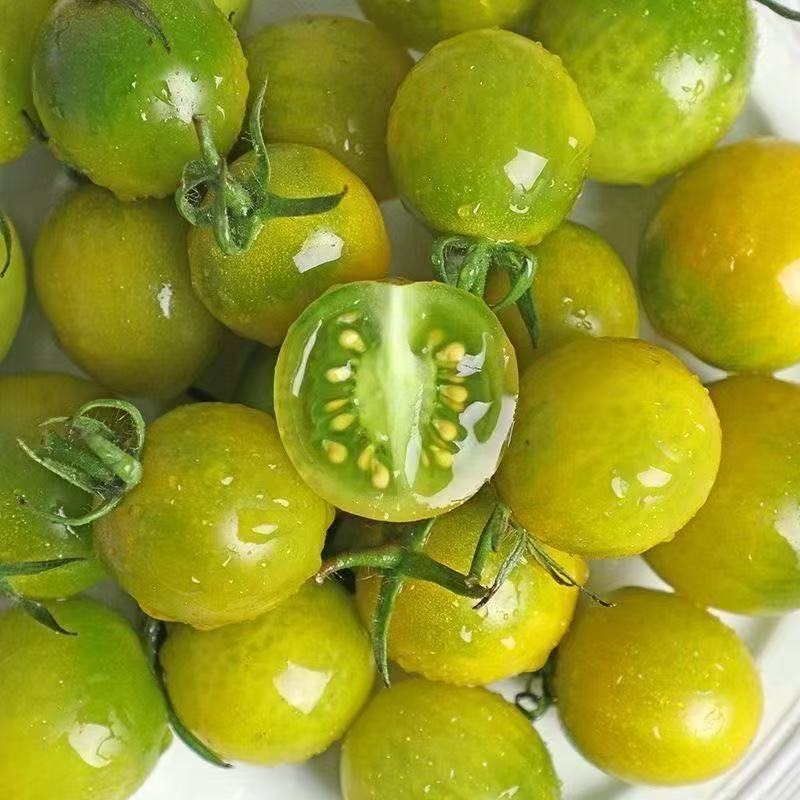 【众彩甄选】绿色千禧小番茄礼盒装一盒颗颗爆汁 净重2斤山东省