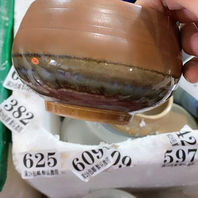 【闪购商品】红陶口10