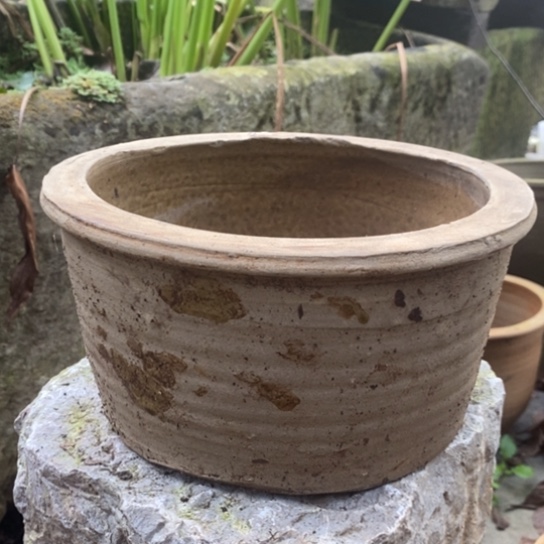 无花朵鲜花和小红花一起