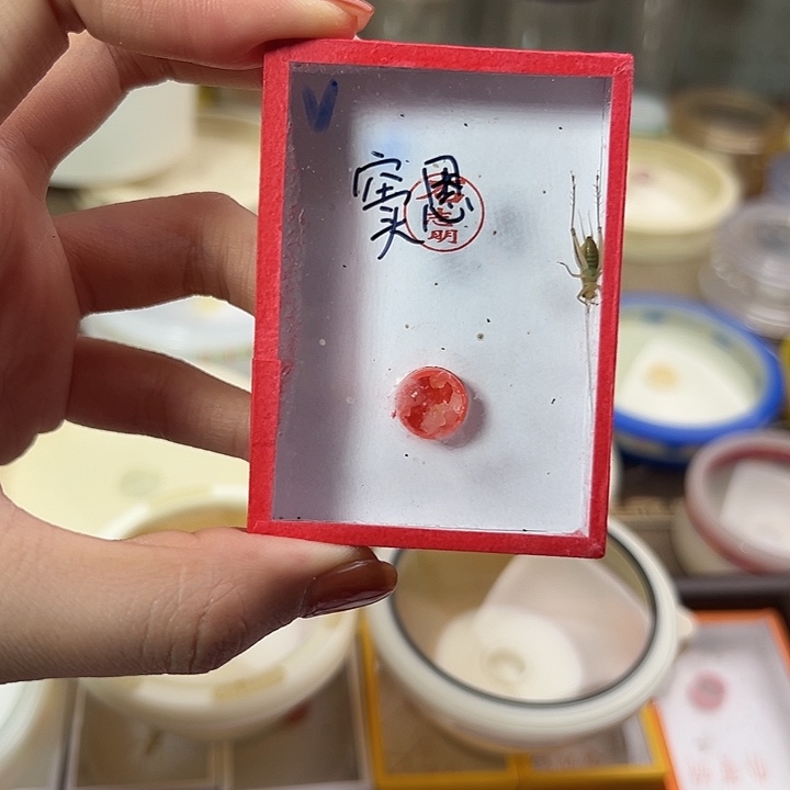窦***咯窦恩石志明大黄蛉