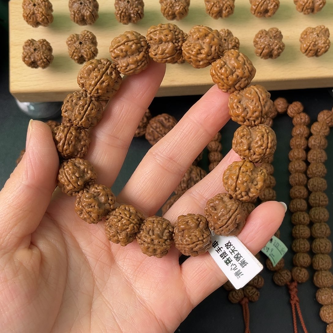 把件金刚菩提四瓣绝情帝王花