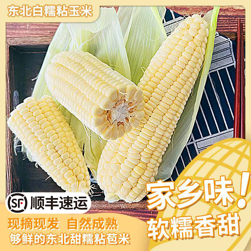 【东北甜糯玉米】鲜香甜糯玉米带叶鲜发4斤6斤新鲜现摘现发顺丰包邮