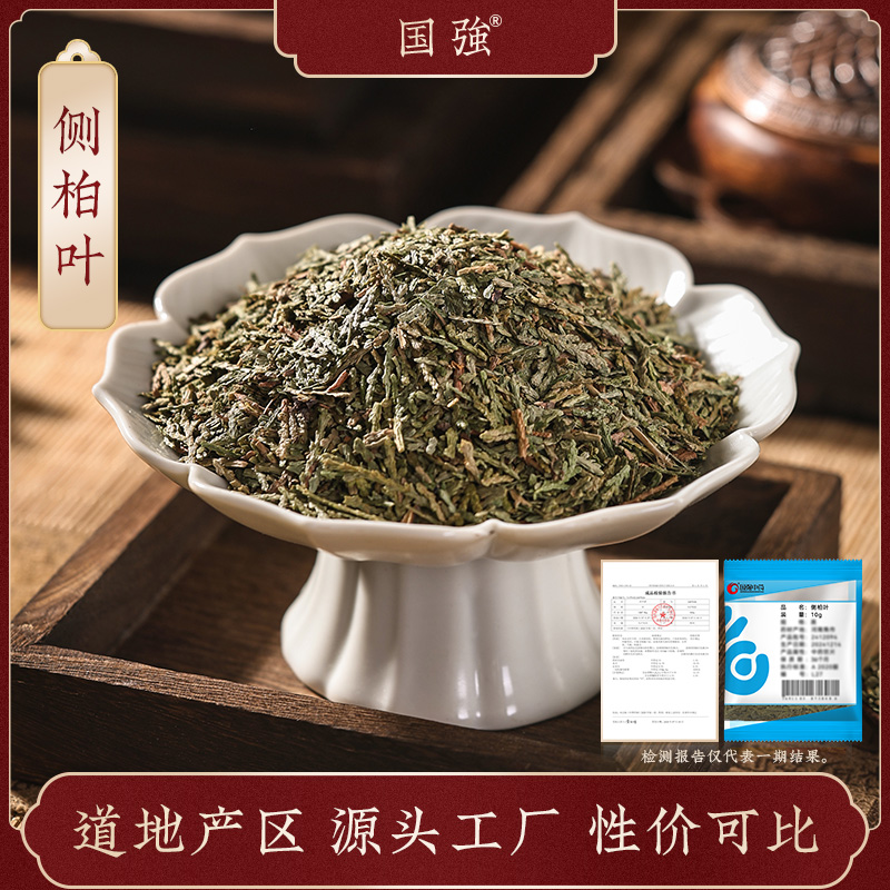 国强侧柏叶 独立包装小袋装