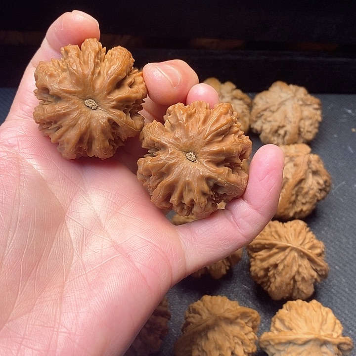 九****浆我是一只小小鸟地域鬼