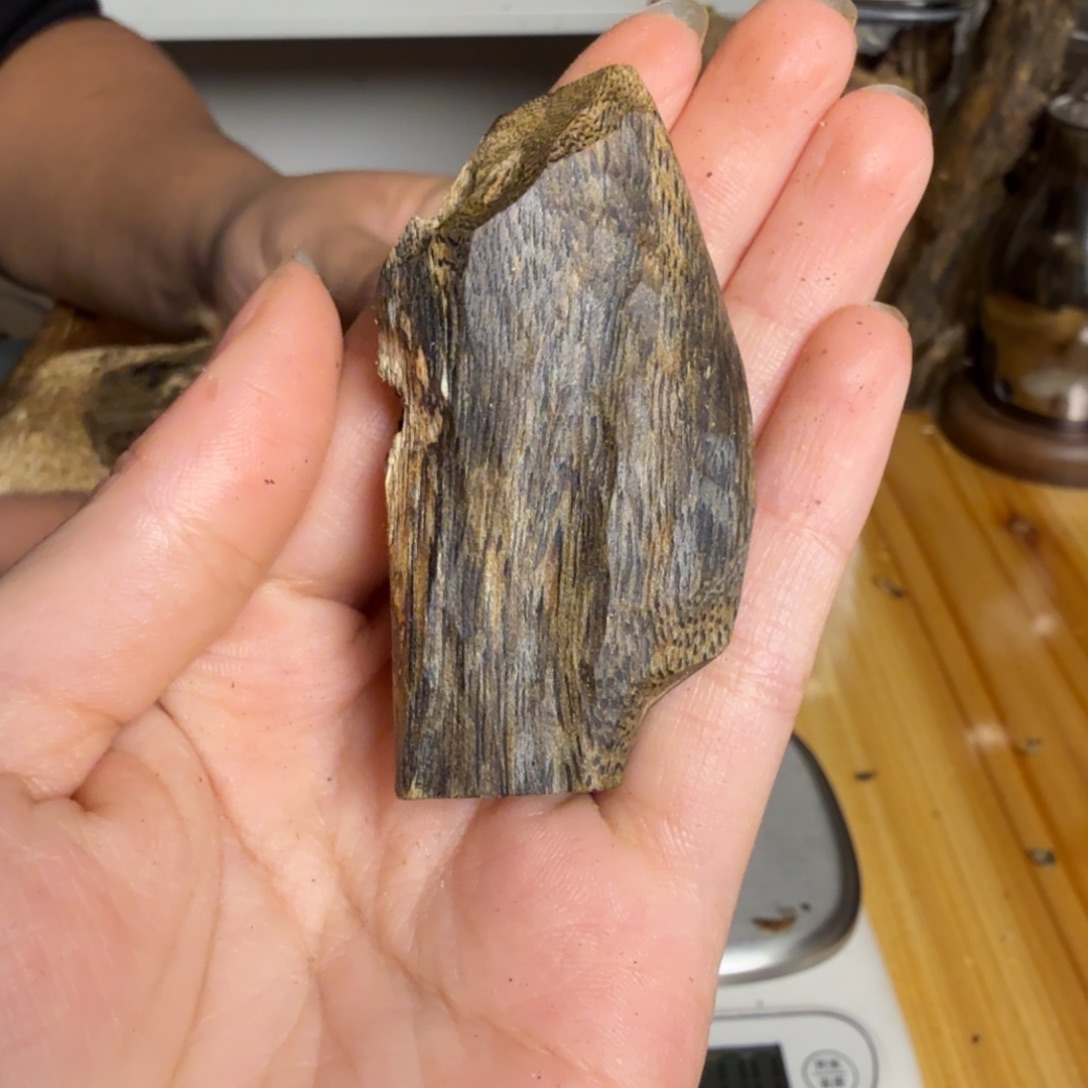 沉香张勺子虫漏香10克