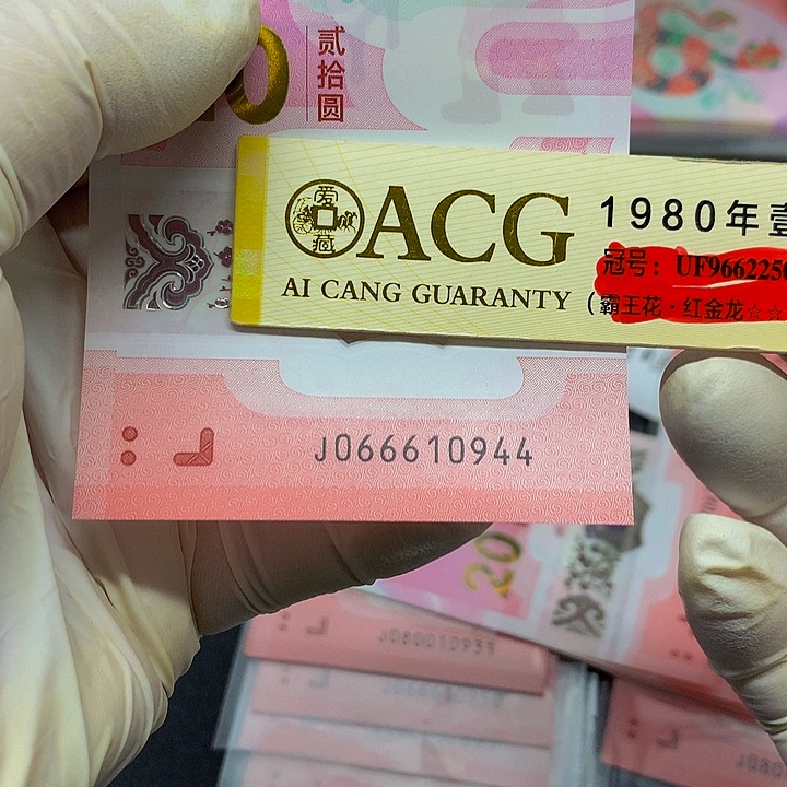 塑料一张一张一张一张