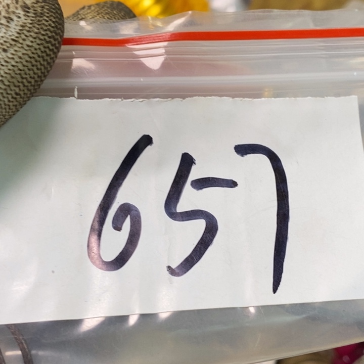 用***1娜娜文玩杂项专属链接