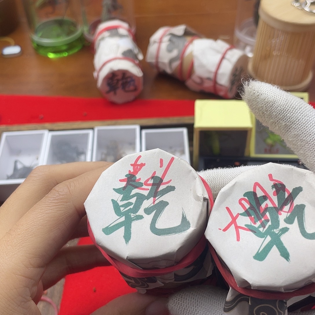 天***斗蟋蟀新的一年希望自己能有个好的开始