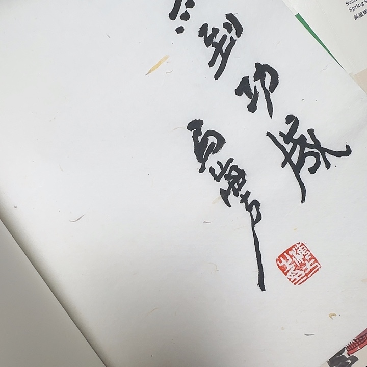 ****光书法马海方马到功成