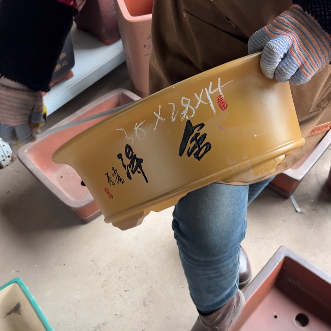 紫砂花盆盆景艺术