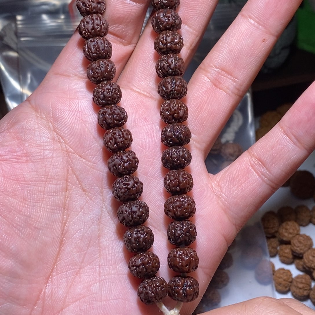 金刚菩提手串老树王10mm