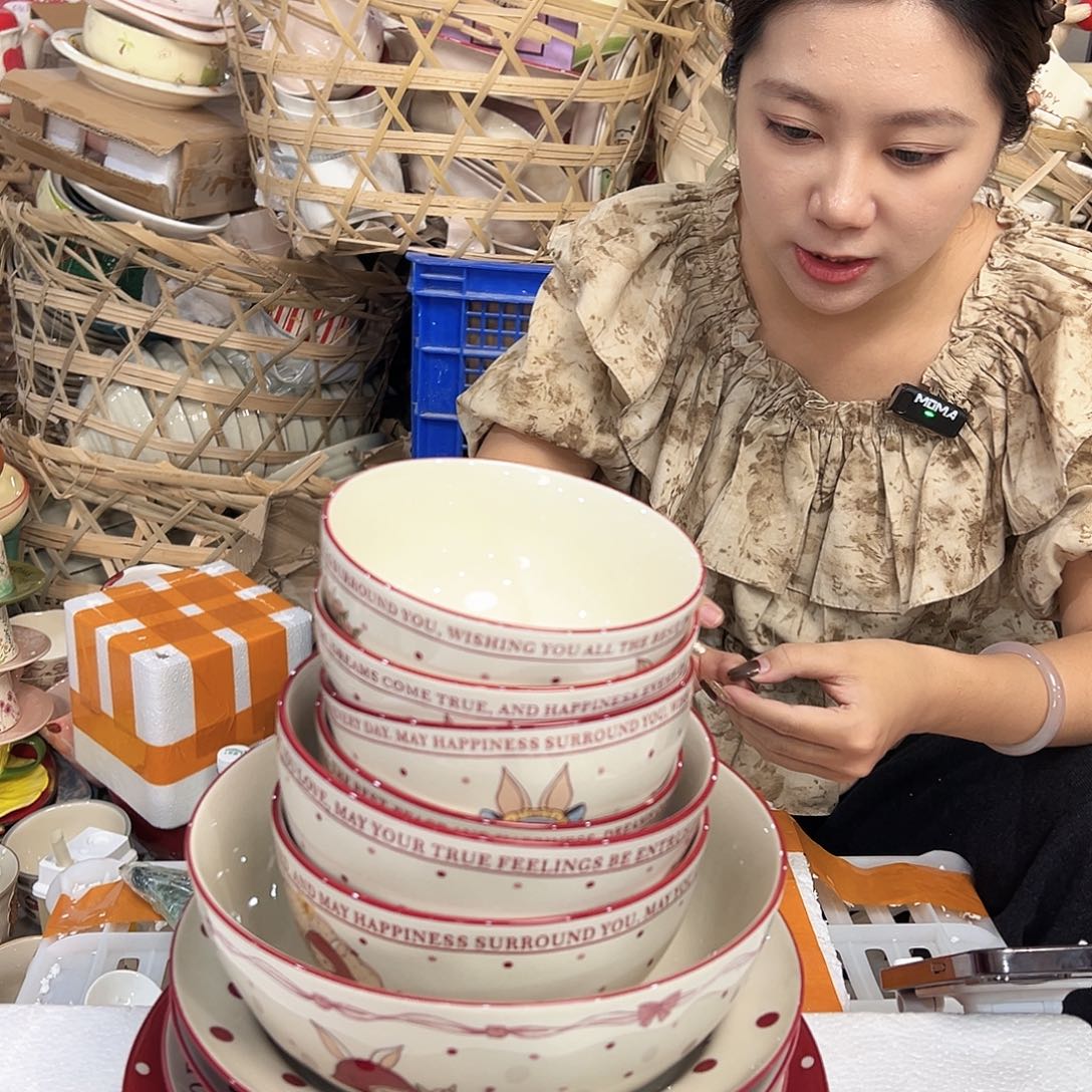 潮州陶瓷餐具微瑕11件套