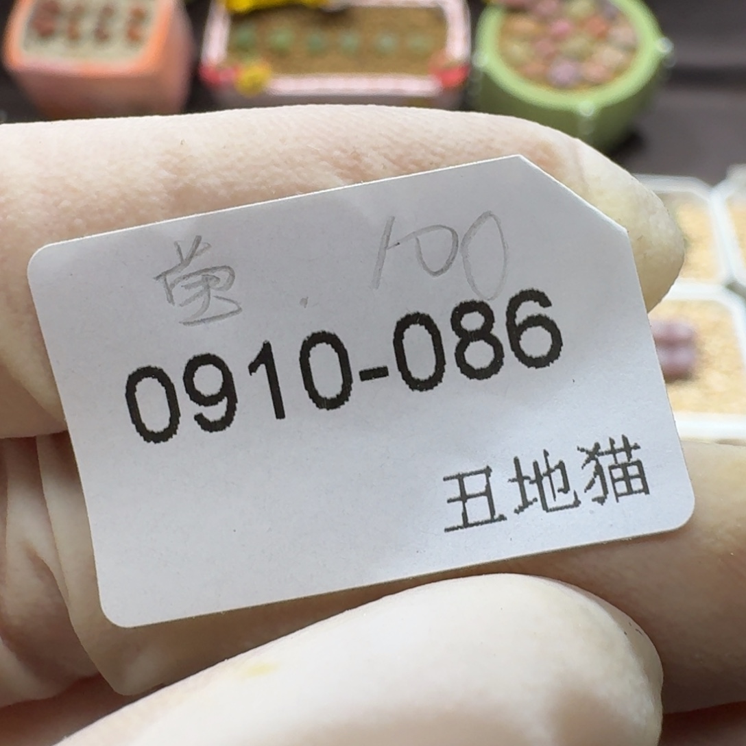 莹***0910-086卷卷卷卷卷