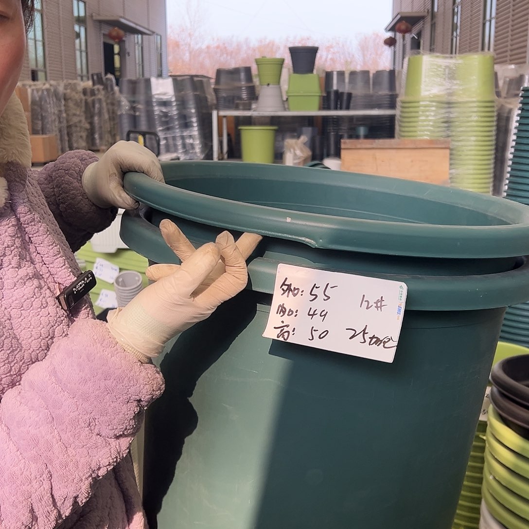 瑕疵四季盆12#墨绿2个无托