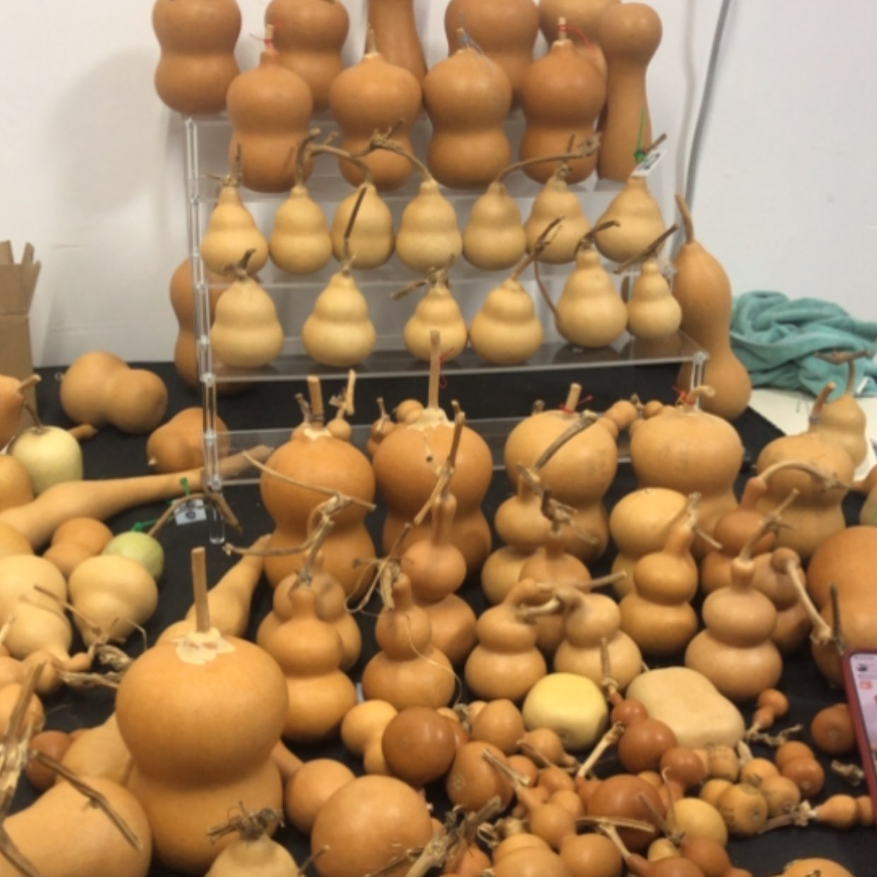 【闪购商品】随*保定墩葫芦老葫芦