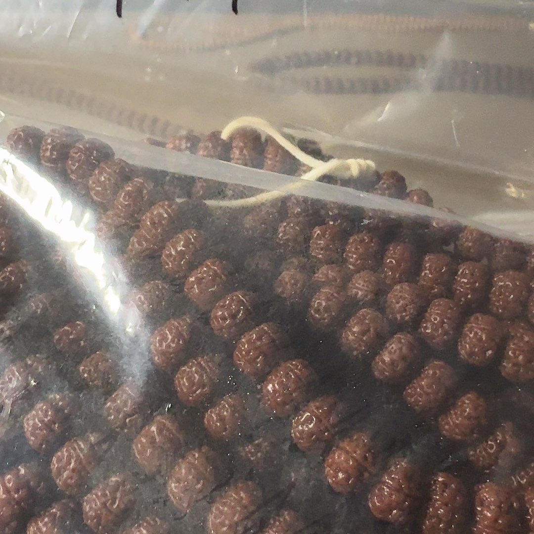 鯊****金刚菩提吊坠勿理达老树王顶级