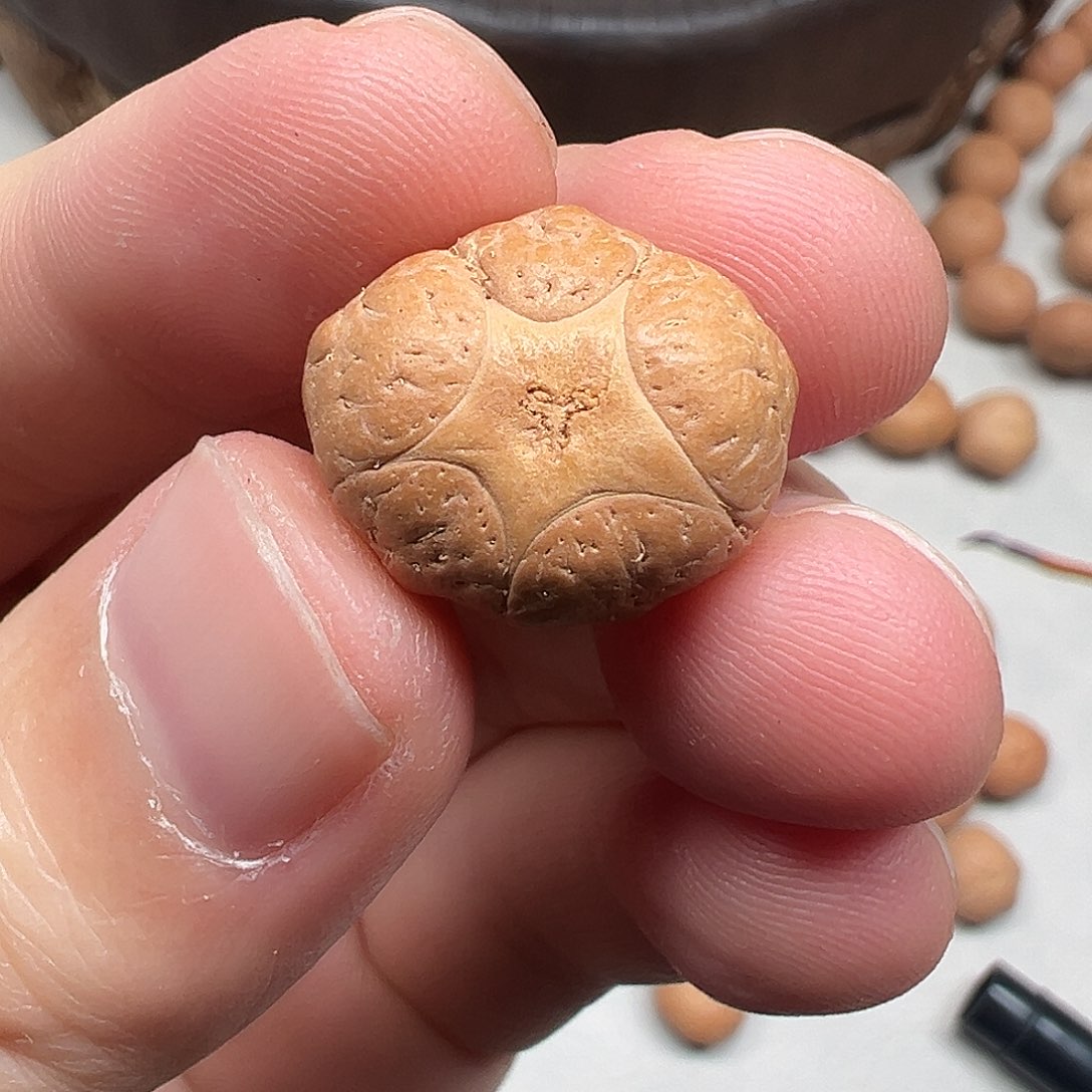 迷***贝013五星三通19.5mmm