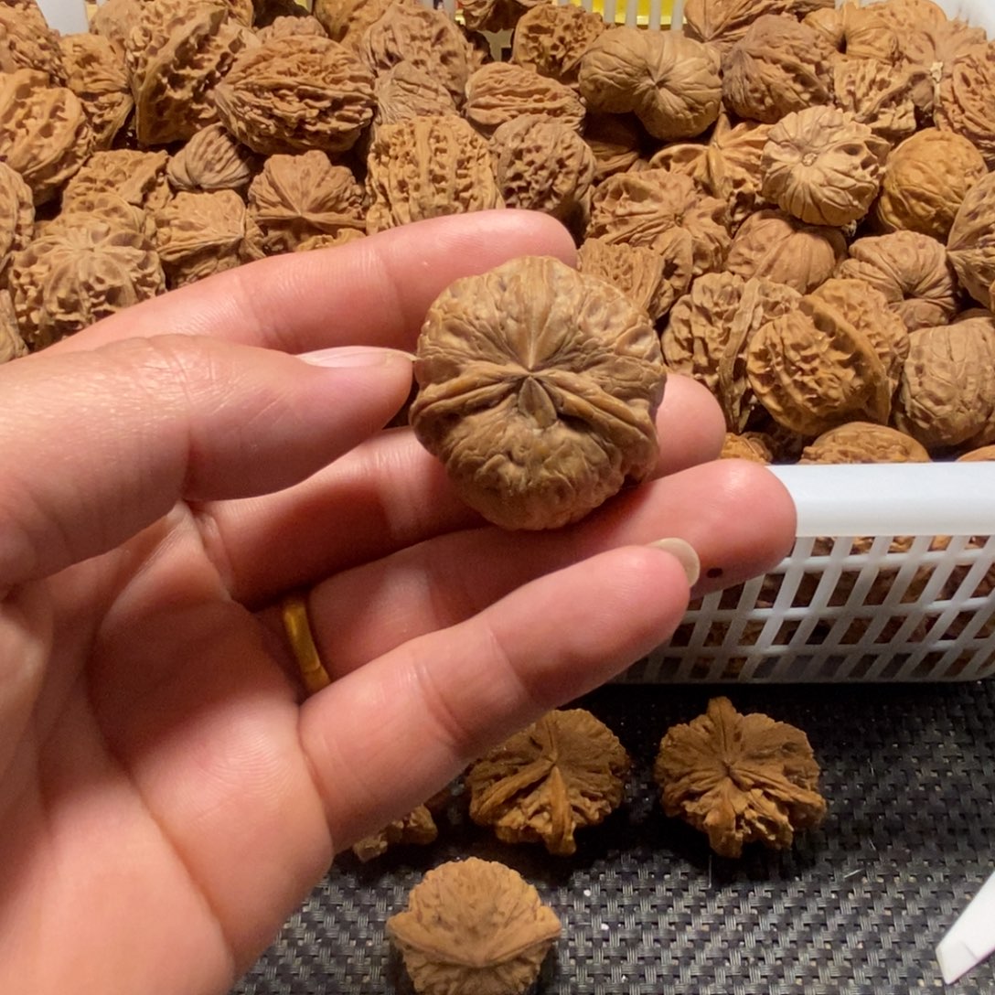 阿***哥文玩核桃吊坠核桃异形单只异形