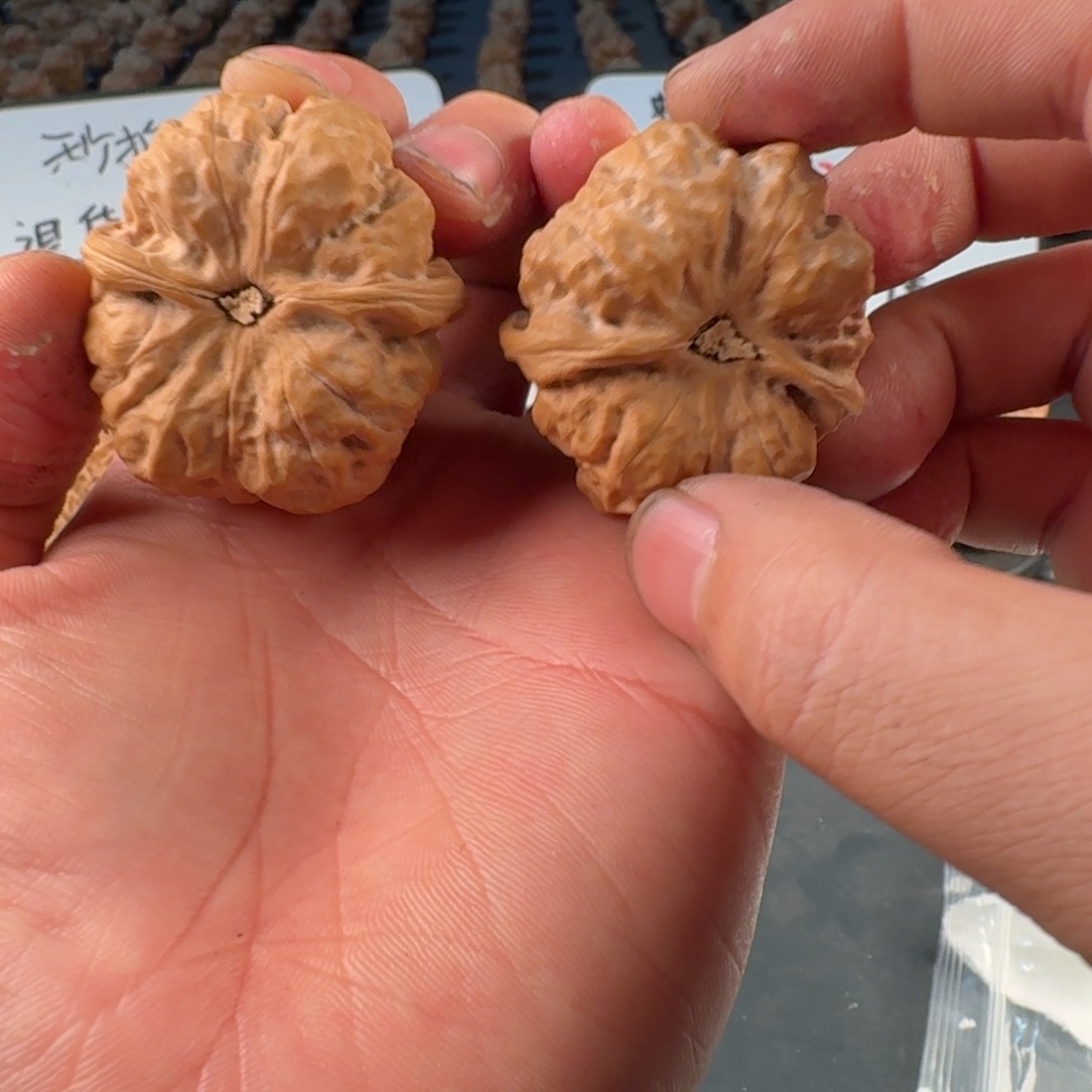 Z***w吊坠文玩核桃蛤蟆的眼睛是真的好看啊