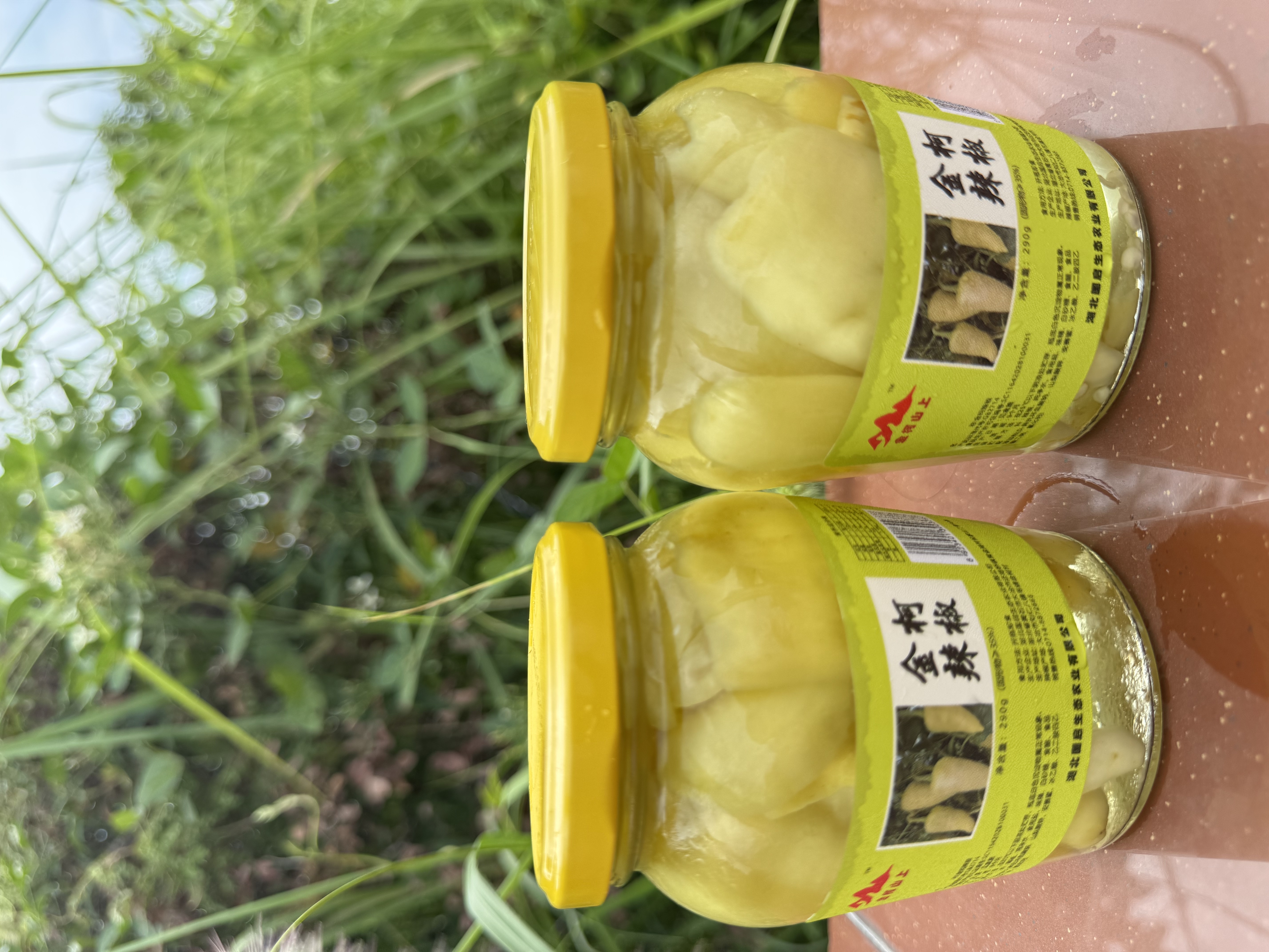 恋乡味道【两瓶金柯辣椒（小）】湖北大冶黄金湖腌菜国启腌辣椒