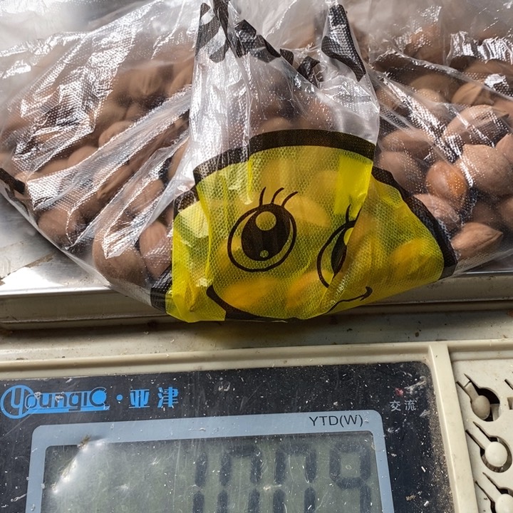 吊坠橄榄核橄榄油和好