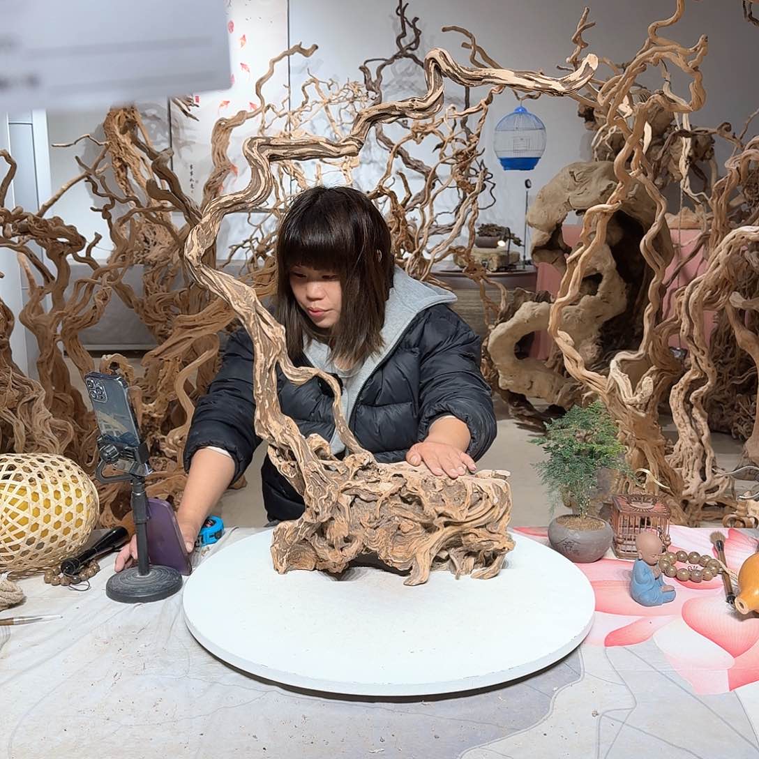 风车木（黑檀木）静**俊