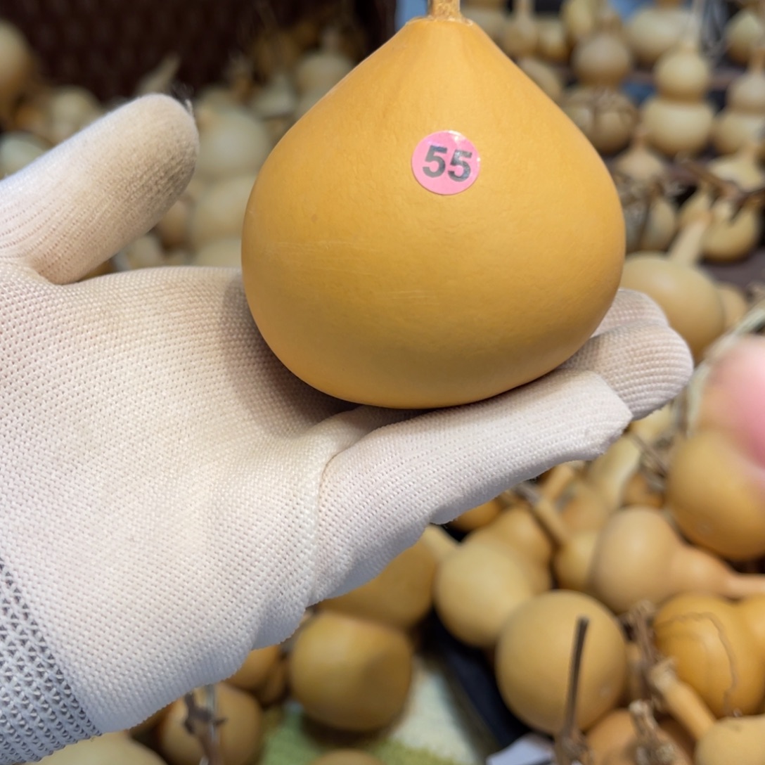 闪拍葫芦链接-55号品