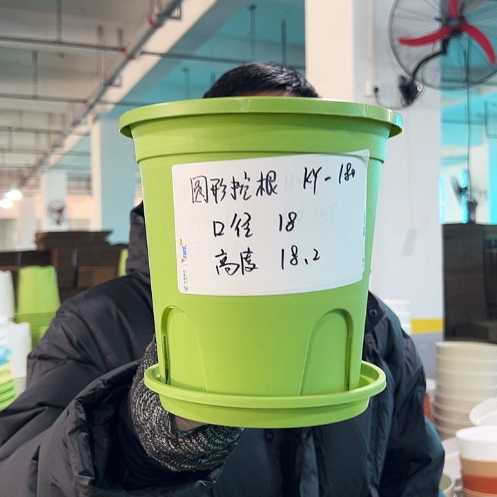 正品圆控口18高18果绿带托8只