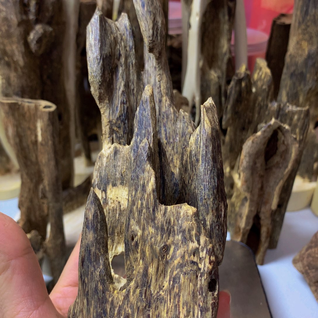 沉香沉香碎屑大*.乌身圆叶虫漏95克