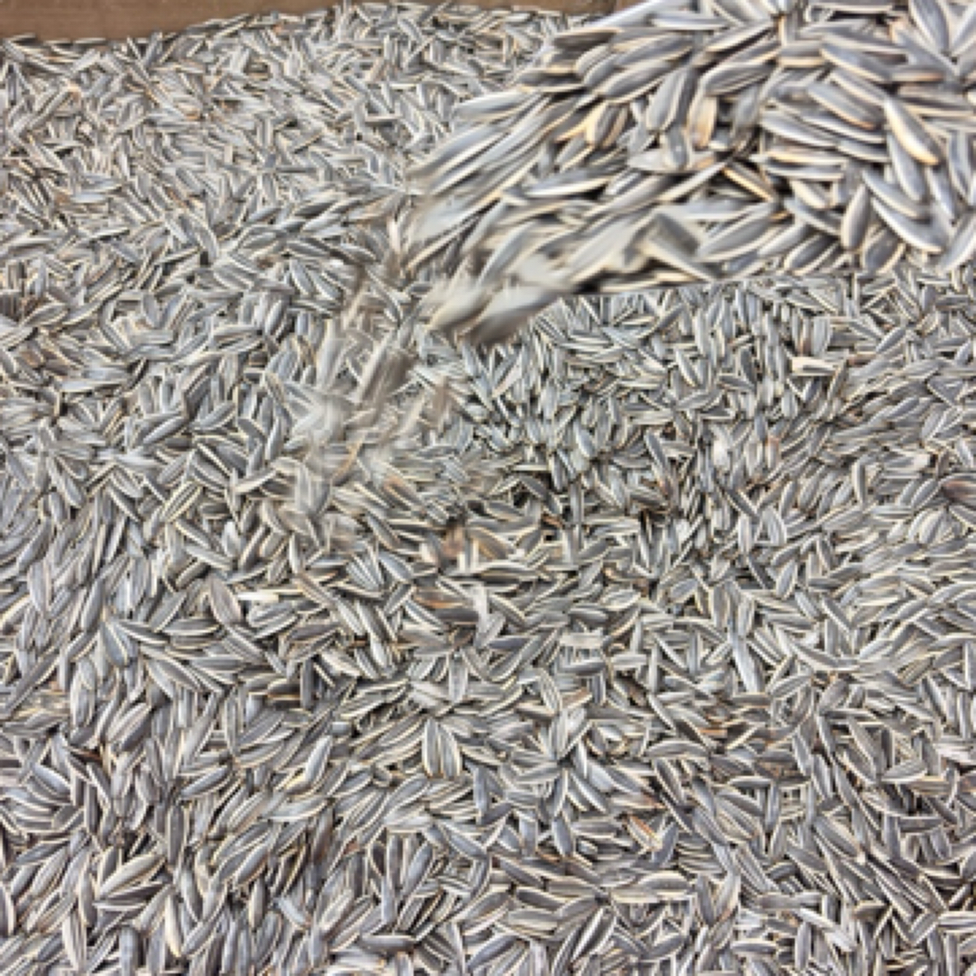 干炒原味瓜子。   