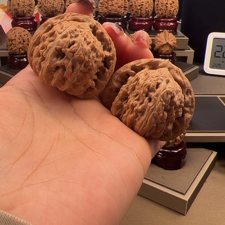 文玩核桃把件41 三角白n-009