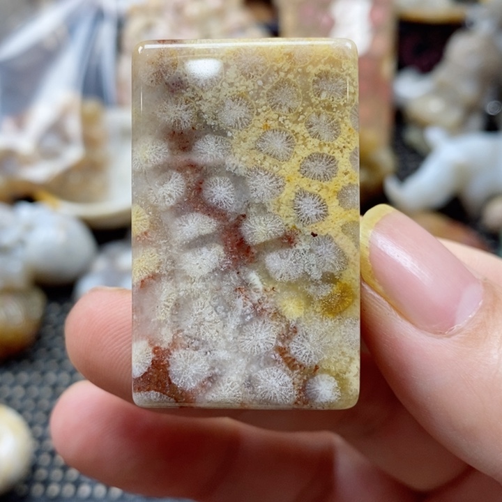 硅化珊瑚（珊瑚玉）颈饰未镶嵌