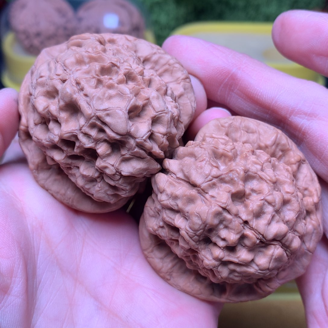 文玩核桃把件毕业肉球龙鼎50
