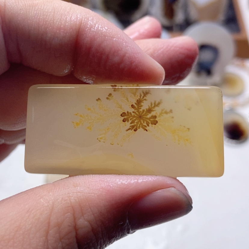 【闪购商品】玛瑙/玉髓颈饰未镶嵌