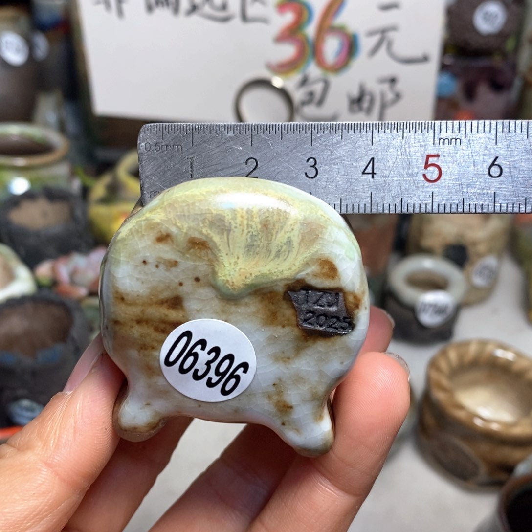 花盆拍3送一个小礼物