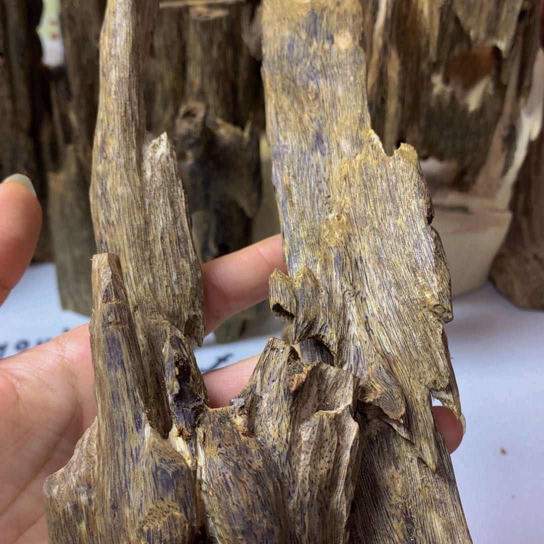 沉香沉香碎屑汝湖虫漏121克