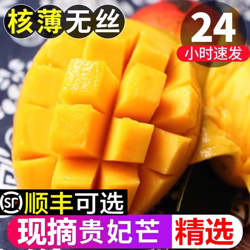 【次日达】（拍2斤送2斤）海南贵妃芒 新鲜热带水果应季 树熟现采现摘