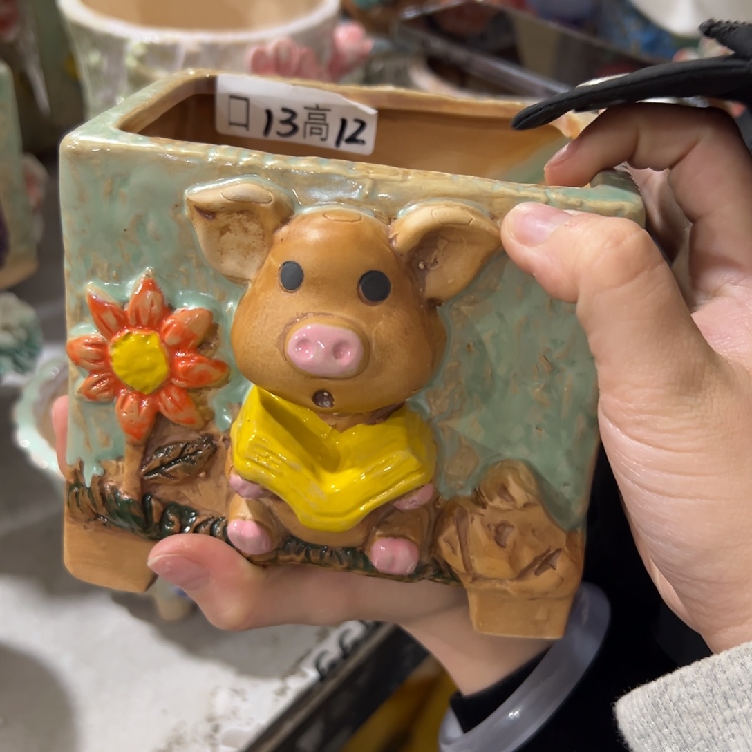 满20米秒退拉黑花盆