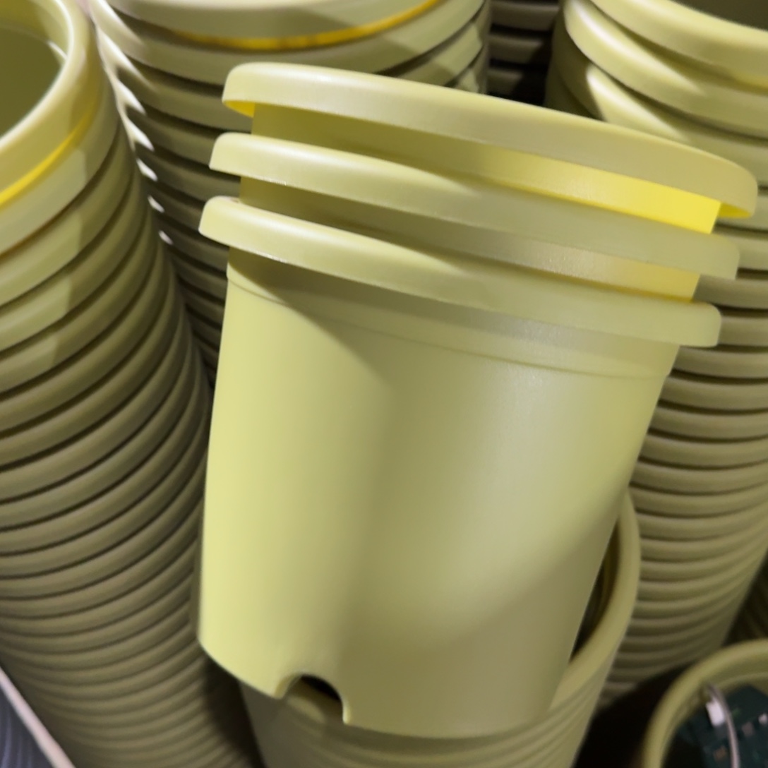 四季3#无拖果绿6个