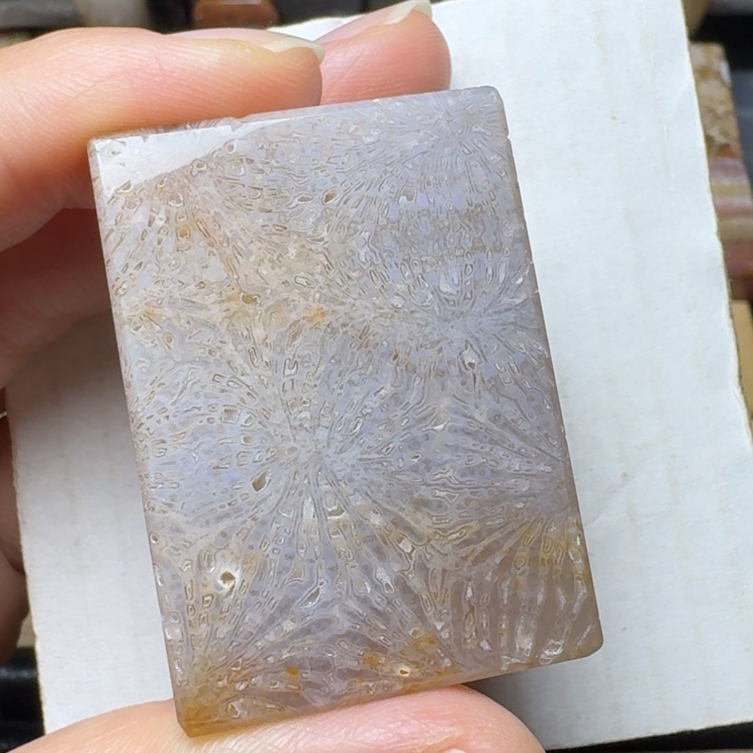 硅化玉飘黄的灰紫霸王花未镶嵌