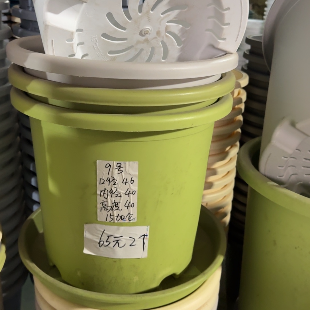 四季9#口径46无拖果绿3个