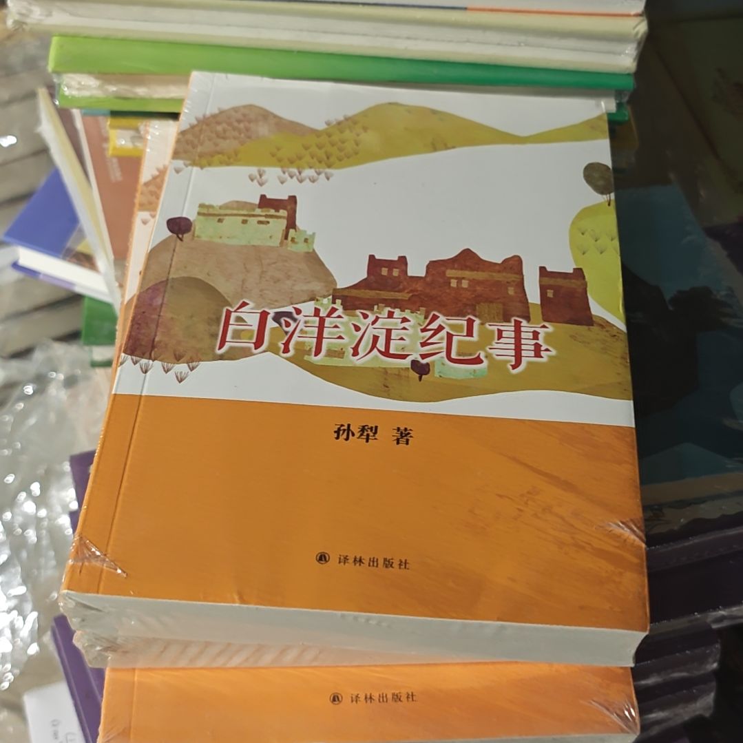 白洋淀纪事塑封全新库存书